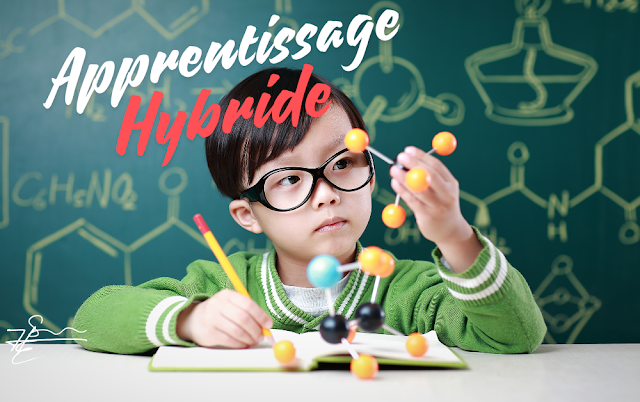 L&rsquo;apprentissage hybride pour les handicapés