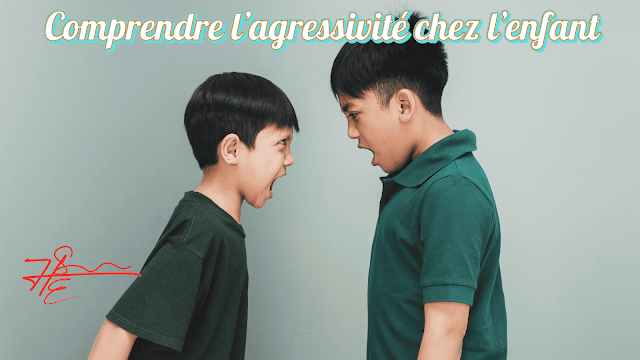 L’agressivité infantile expliquée aux parents