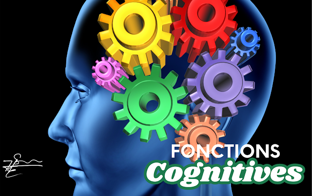 Les fonctions Cognitives